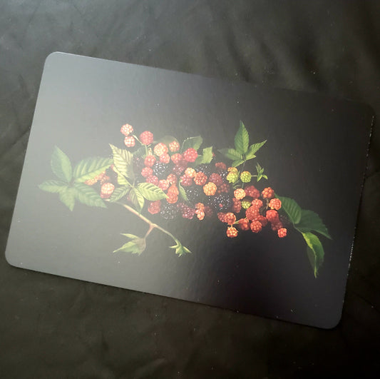 Fruitful Berries 4x6 Postcard