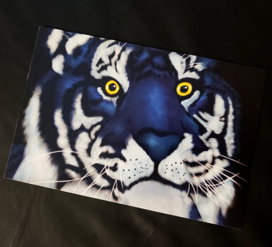 Blue Tiger 4x6 Postcard